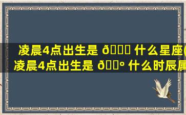 凌晨4点出生是 🐞 什么星座(凌晨4点出生是 🐺 什么时辰属什么)